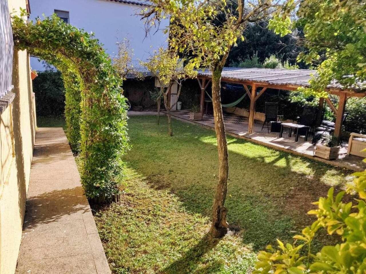 Can Camps Besalu Casa Planta Baja Con Jardin Esterno foto