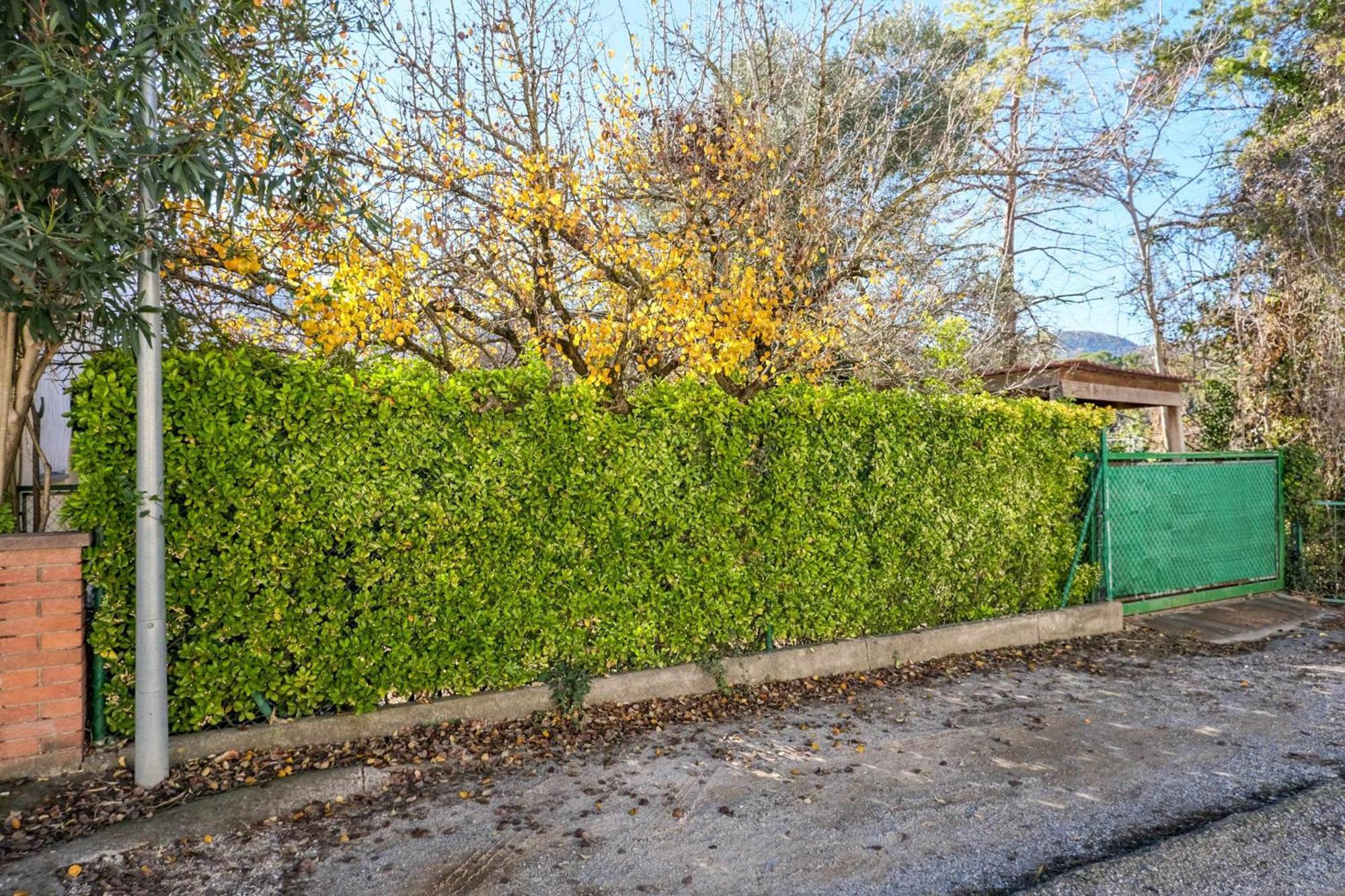Can Camps Besalu Casa Planta Baja Con Jardin Esterno foto